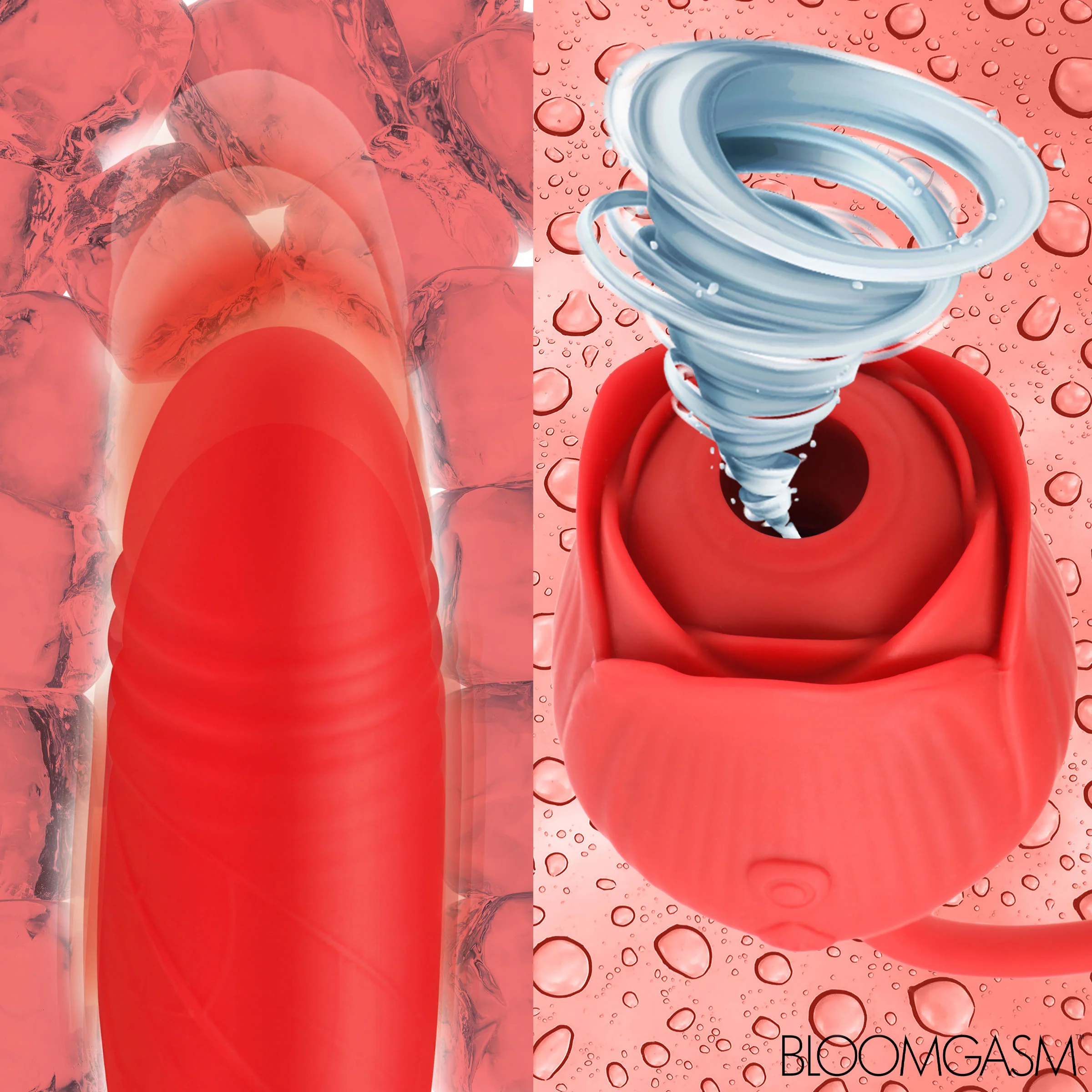10X Romping Rose Suction and Thrusting Vibrator - Image 7