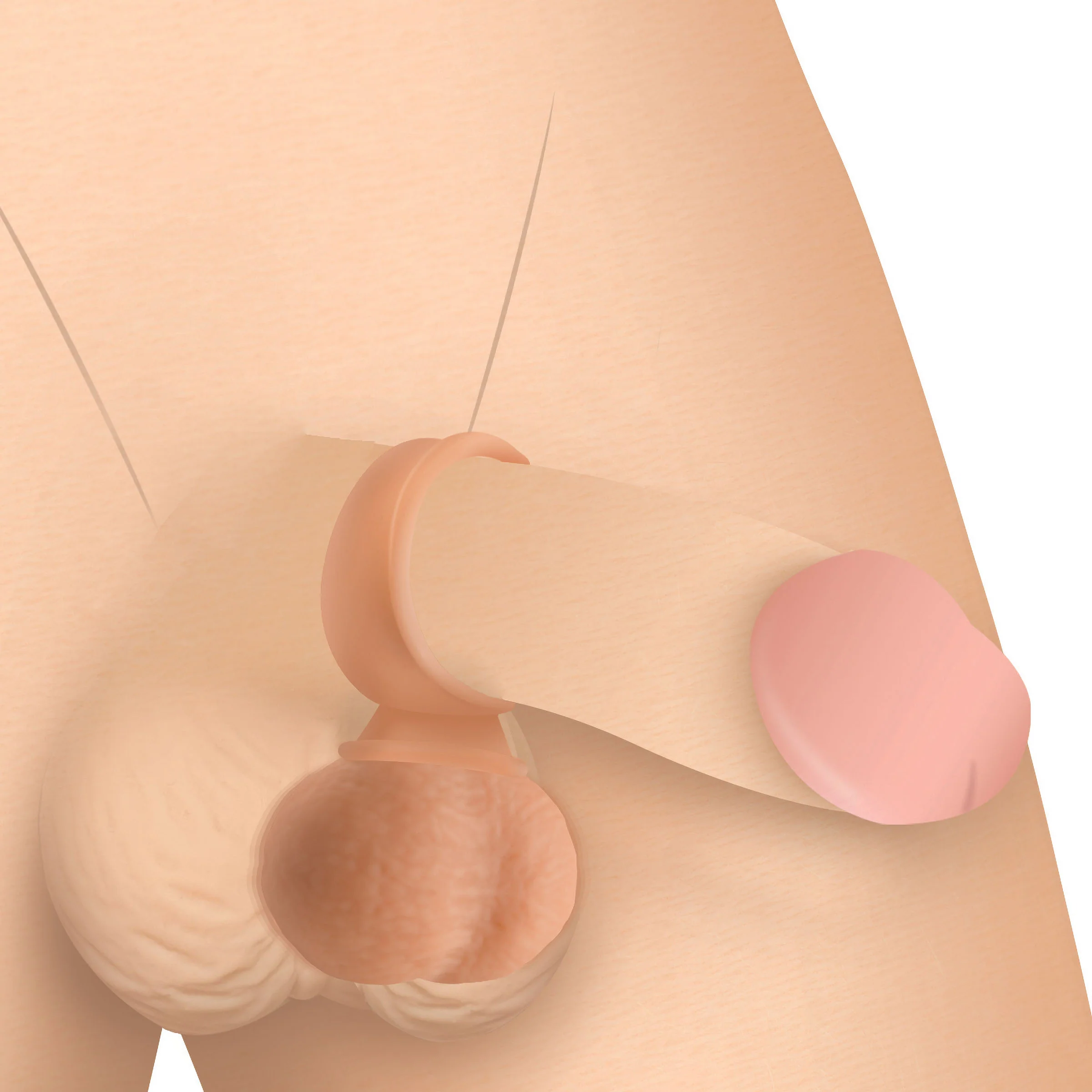 28X Vibrating Realistic Balls with Remote - Image 2