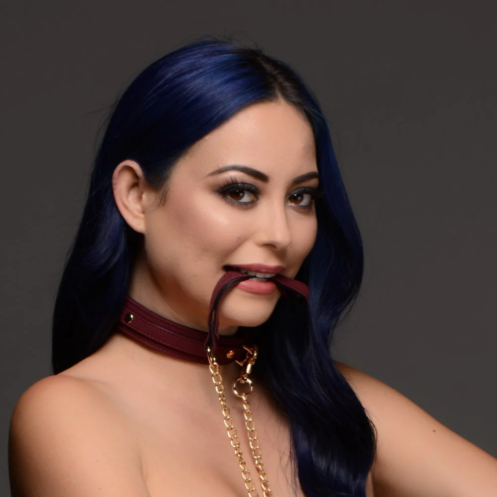6 Piece Velvet Bondage Set - Image 4