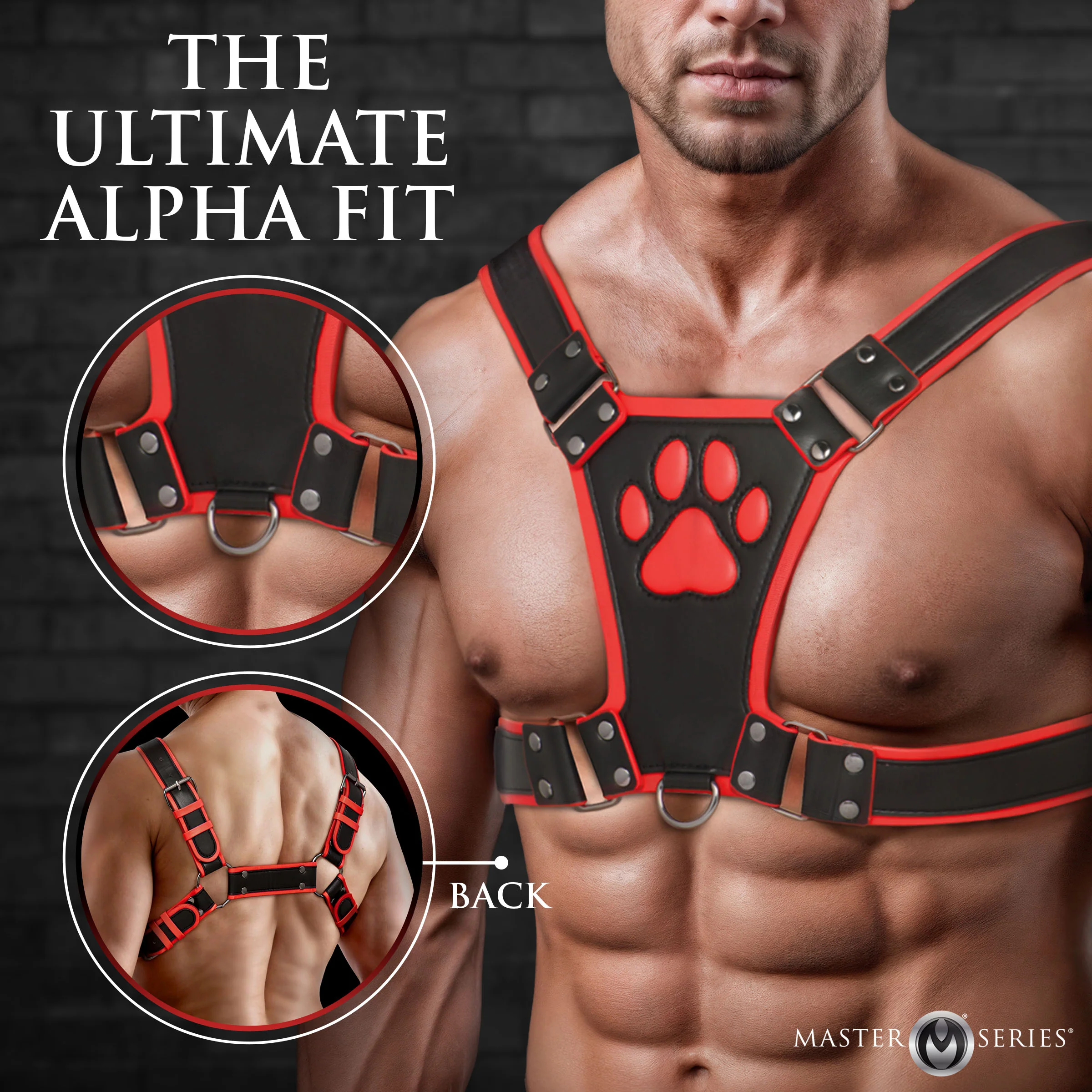 Alpha Pup Bulldog Harness - Image 2