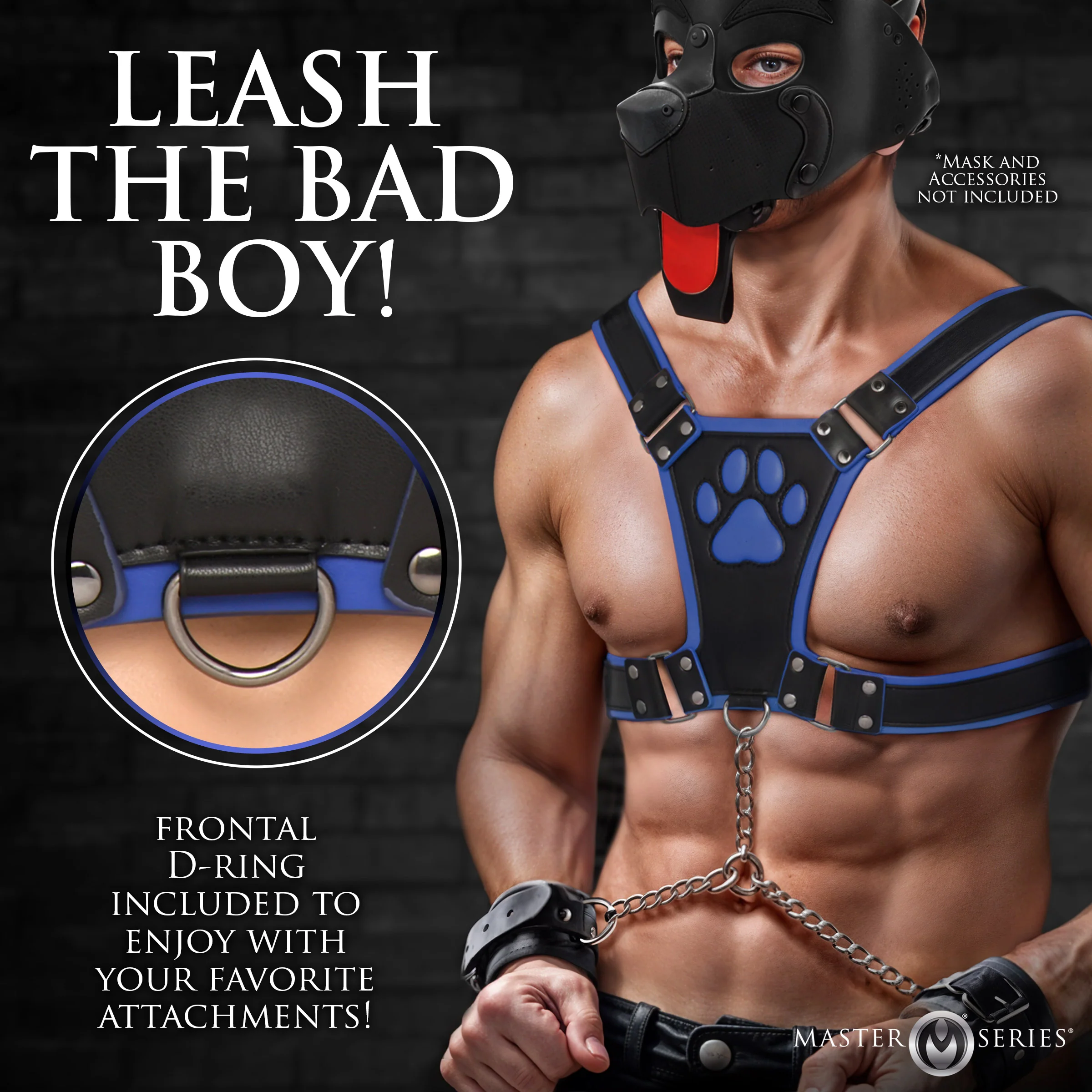 Alpha Pup Bulldog Harness - Image 3