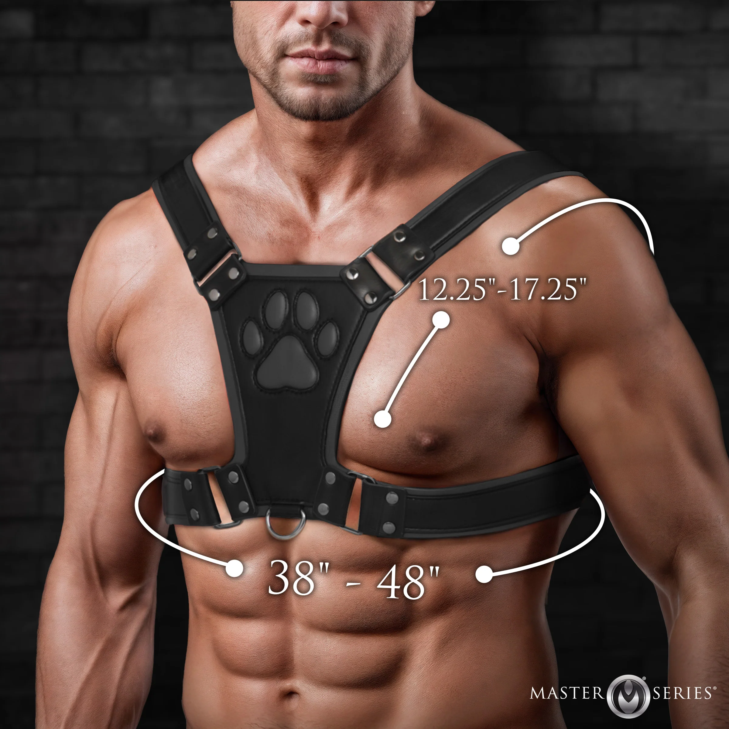 Alpha Pup Bulldog Harness - Image 4