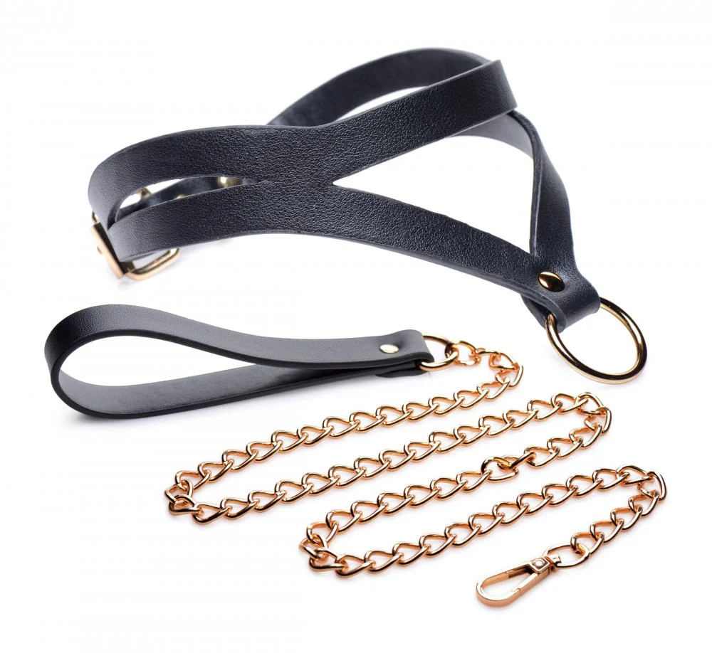 Black and Gold Collar with Leash Kit - Image 2