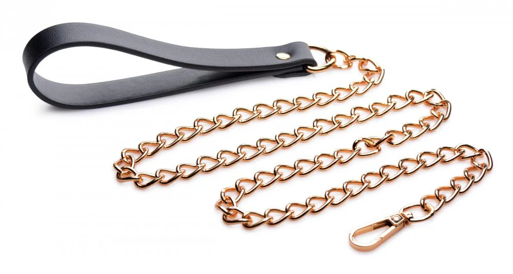 Black and Gold Collar with Leash Kit - Image 4