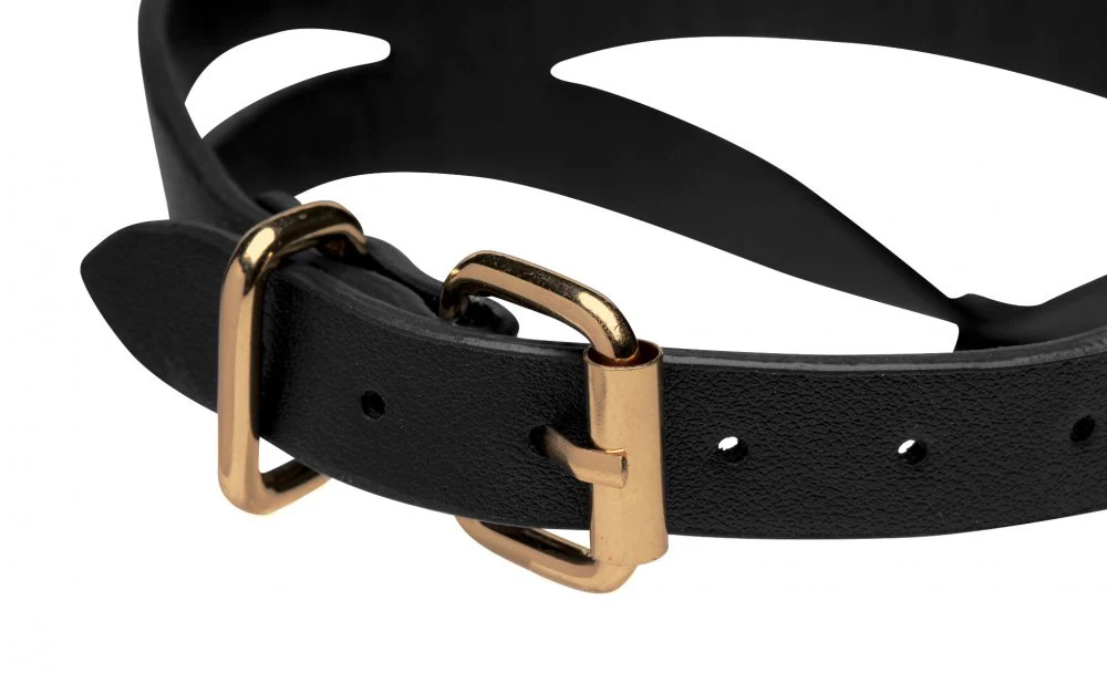 Black and Gold Collar with Leash Kit - Image 5