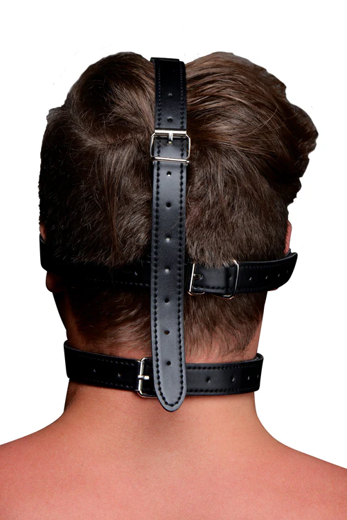 Blindfold Harness and Ball Gag (Black) - Image 2