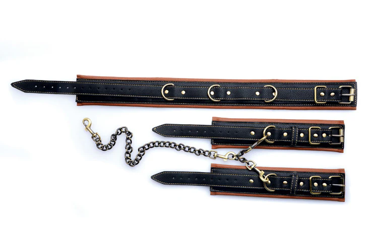 Coax Collar to Wrist Restraints - Image 4