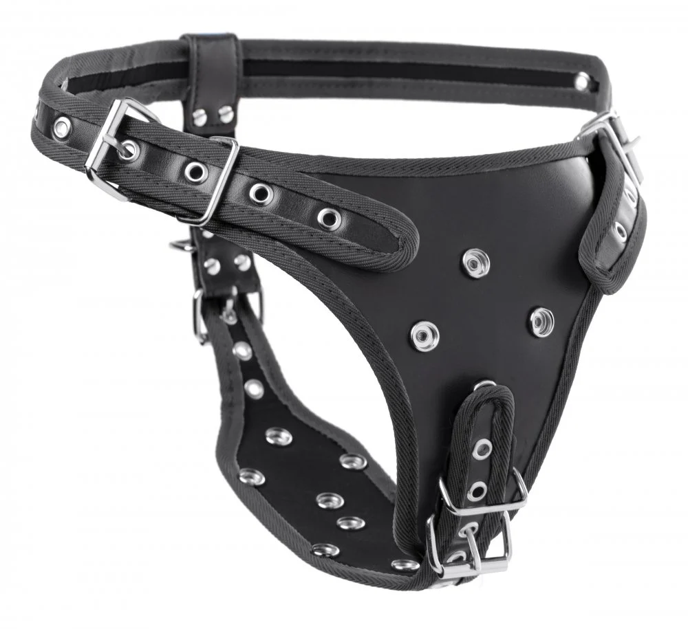 Double Penetration Strap On Harness - Image 6