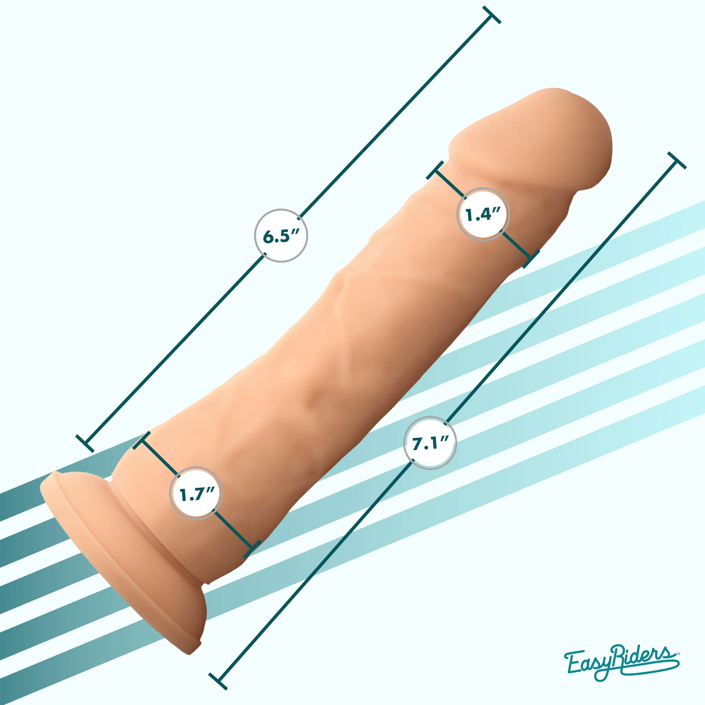 Easy Riders 7" Silicone Dildo - Image 4
