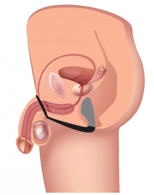 Explorer II Prostate Stimulator Plus Cock Ring - Image 8