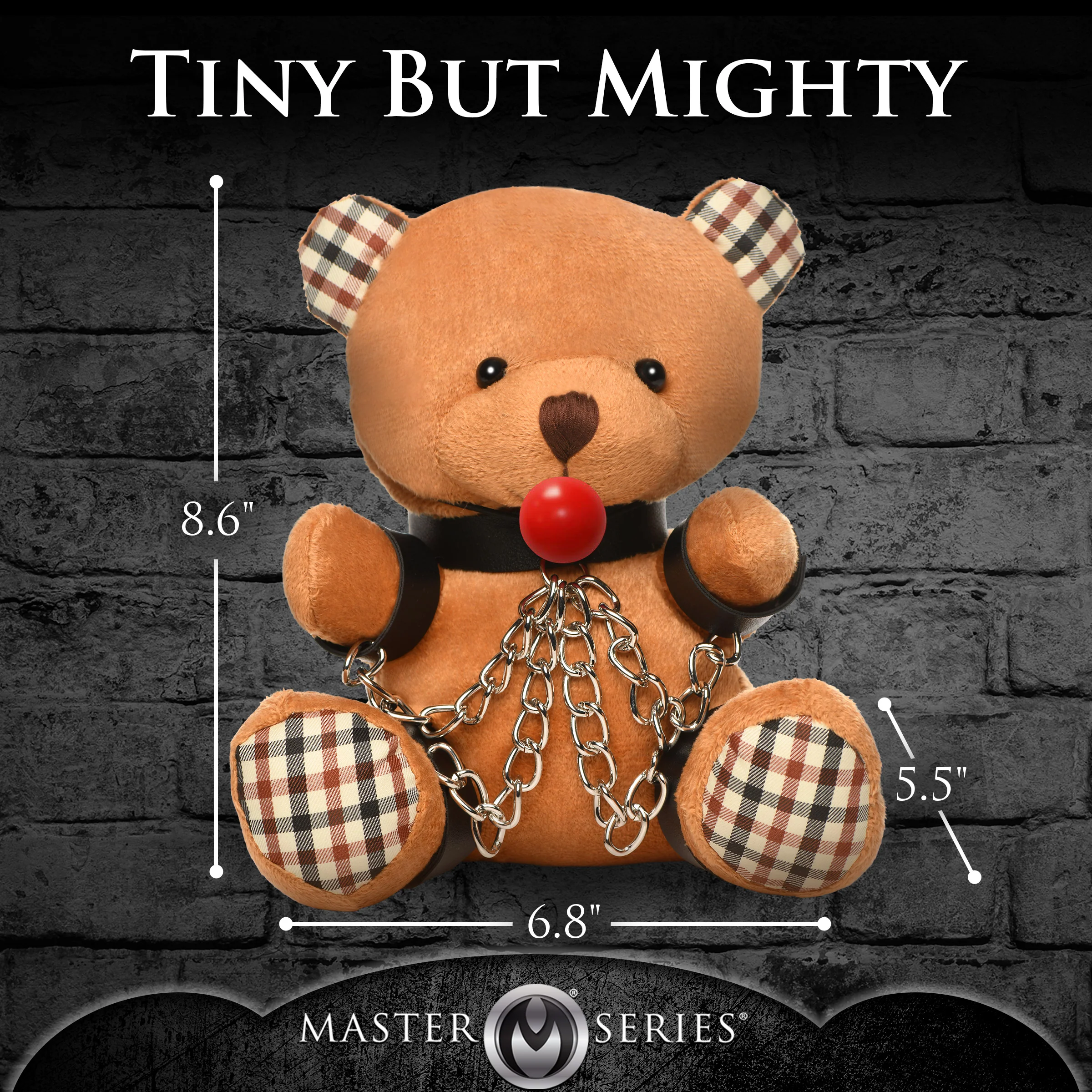 Master's Teddy Bears - Image 7