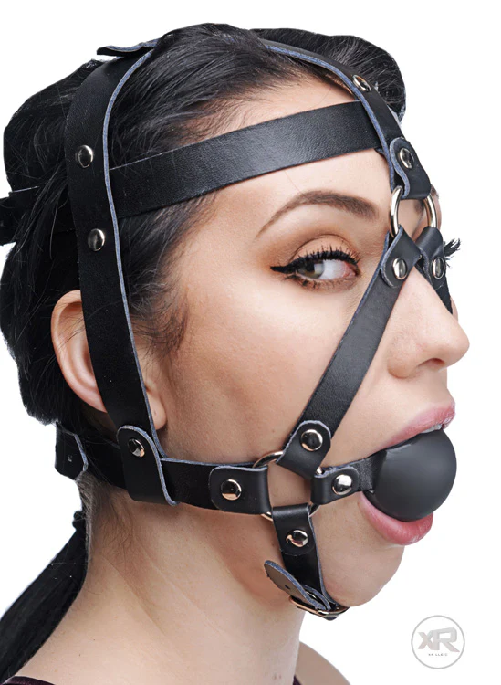 Head Harness with Ball Gag - Image 2