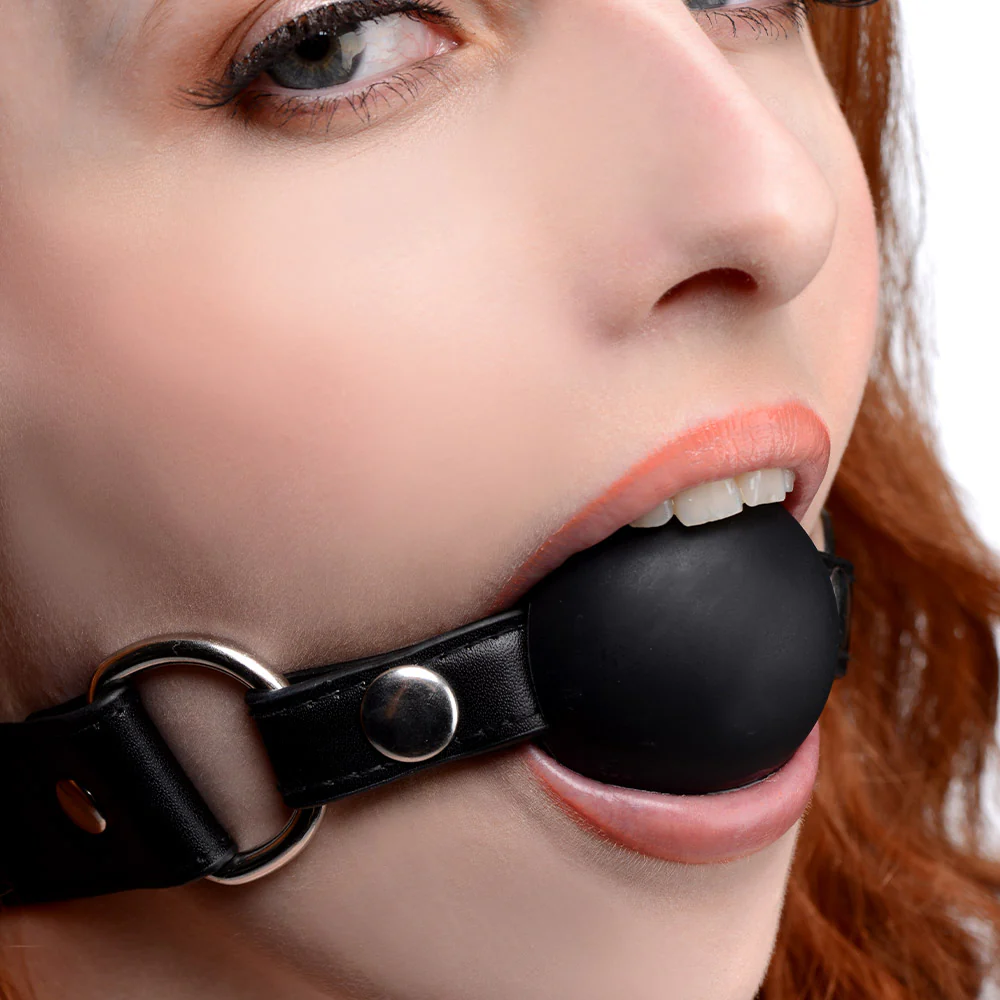 Interchangeable Silicone Ball Gag Set - Image 4