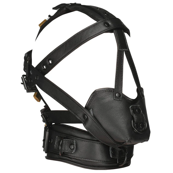 Lockable Head Harness with Muzzle - Image 4