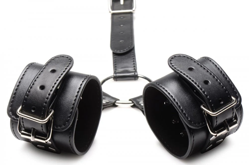 Neck to Wrist Restraints - Image 2