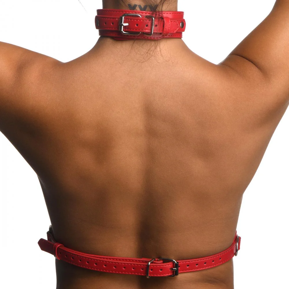 Red Female Chest Harness - Image 6