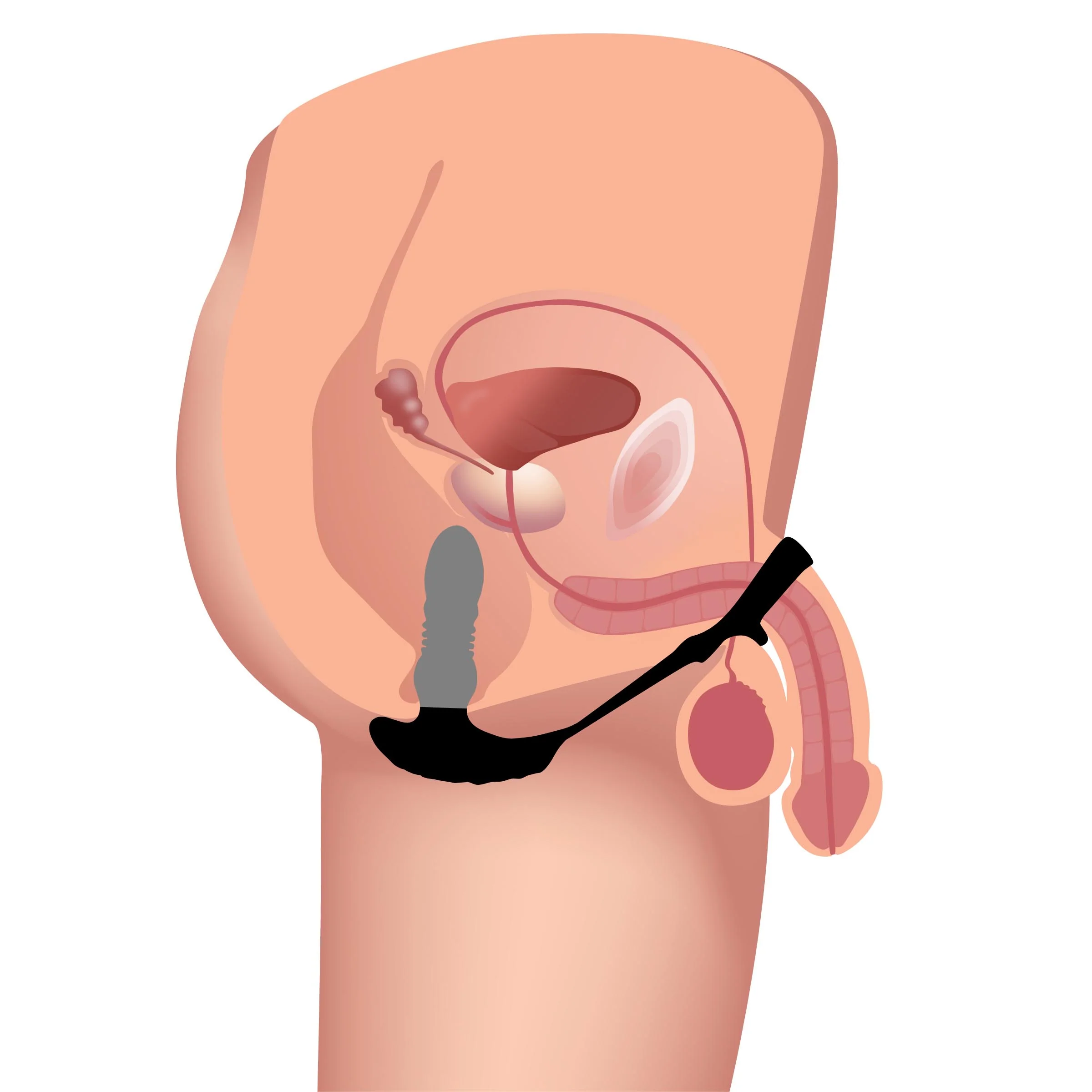Remote Thrusting Vibrator with C&B Ring - Image 4