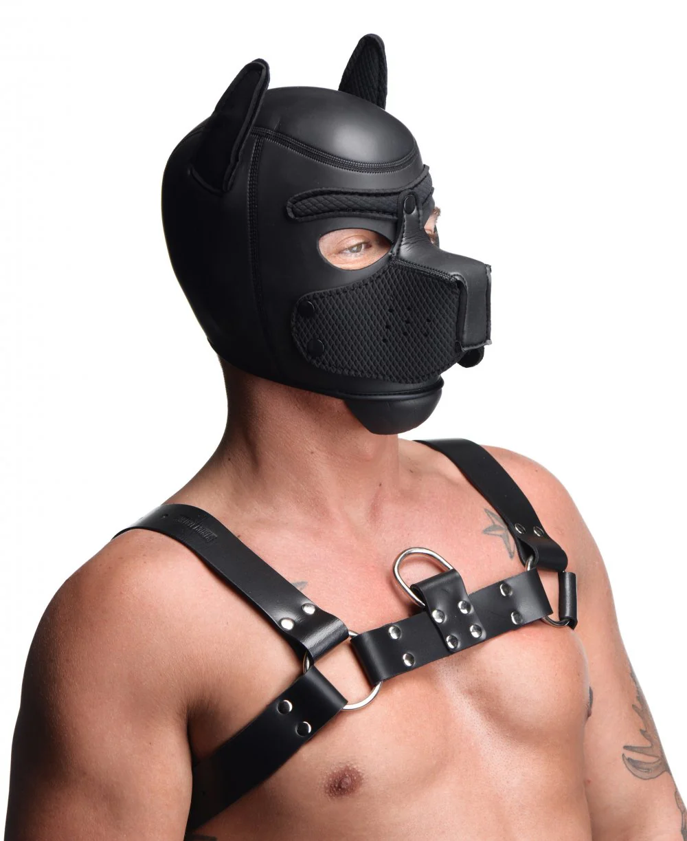 Spike Neoprene Puppy Hood - Image 4