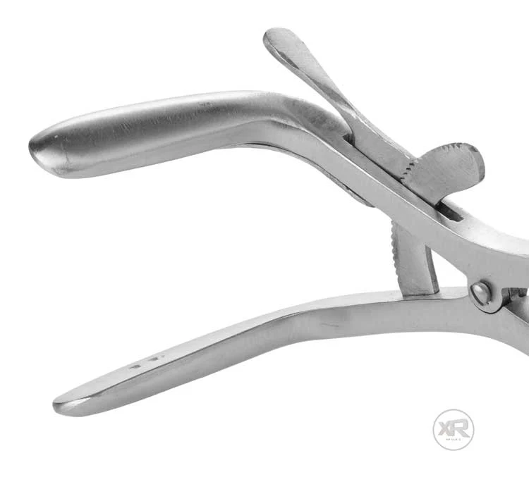Stainless Steel Jennings Gag - Image 4