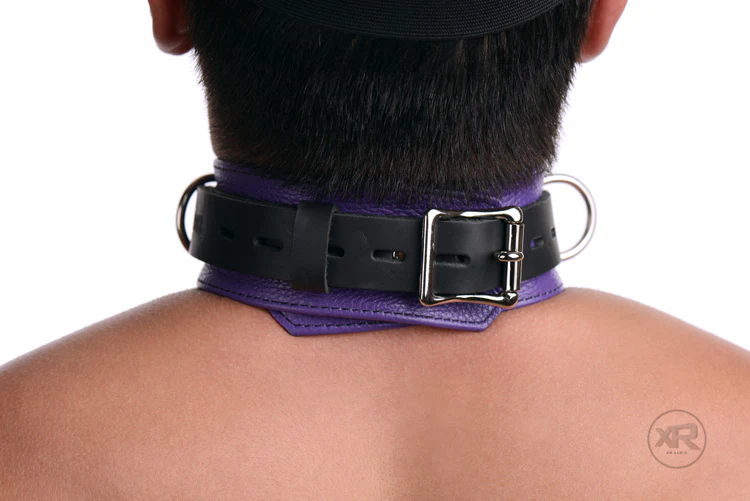 Strict Leather Black and Purple Blindfold - Image 3