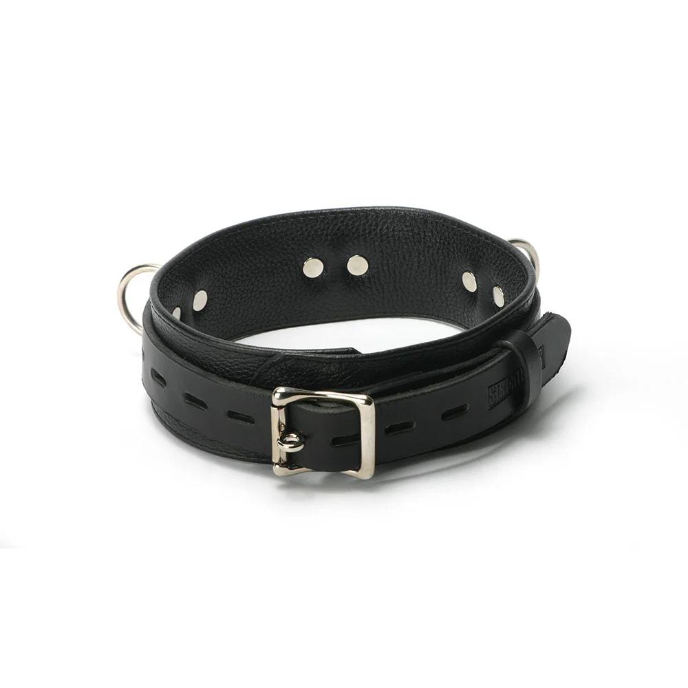 Strict Leather Premium Lockable Collar - Image 3