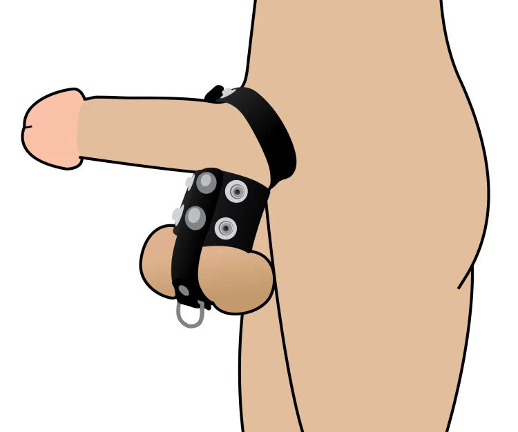 The Cock Strap and Ball Stretcher - Image 2