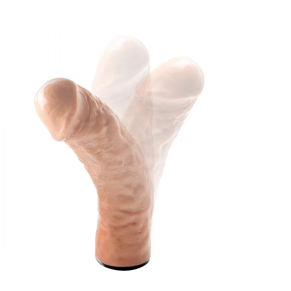 The Dicktator Sex Machine - Image 4