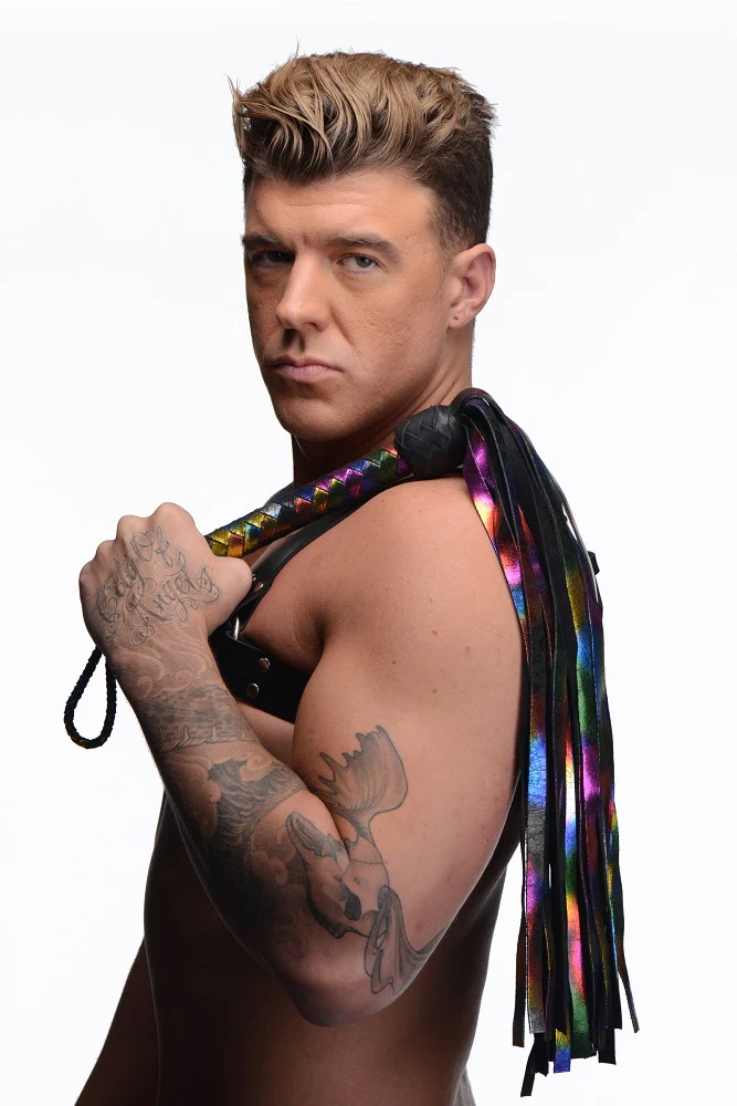 The Rainbow Flogger - Image 3